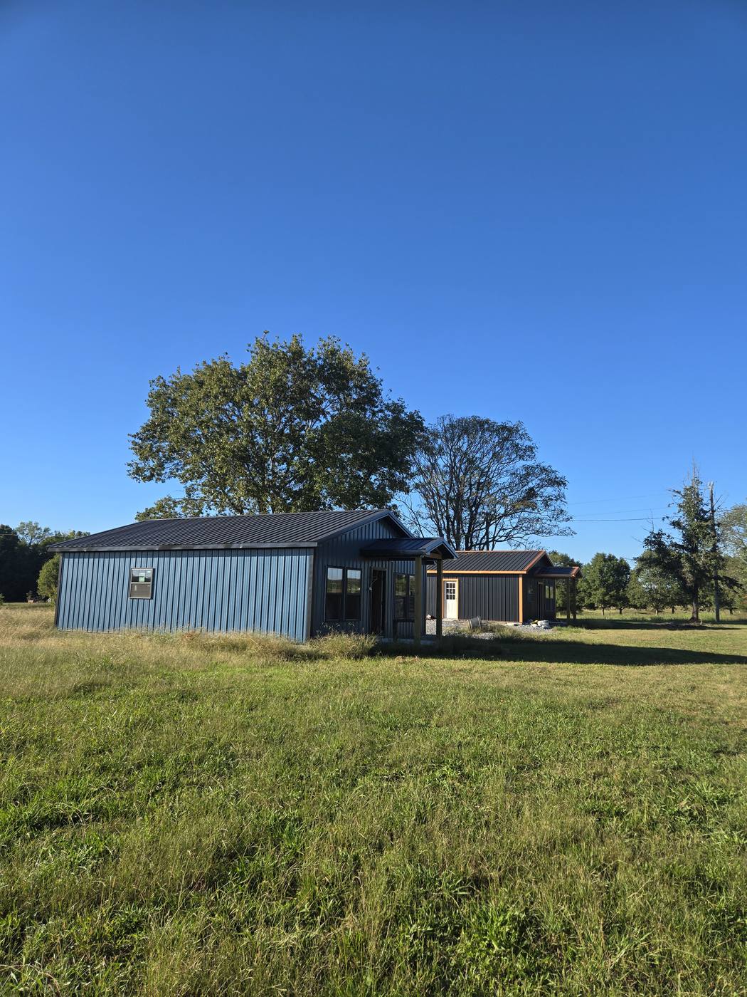 Two tiny houses in an open pasture