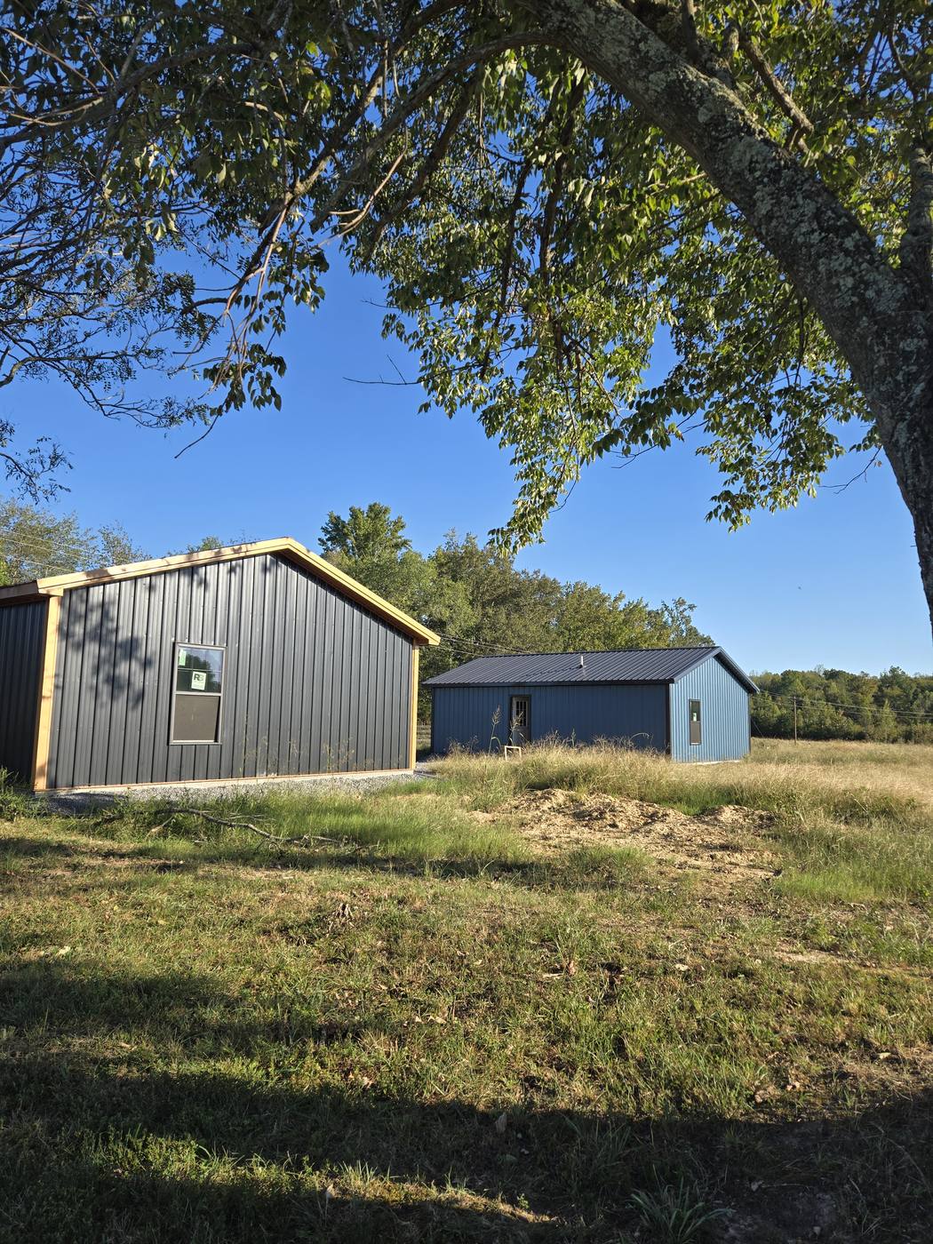 Both tiny houses viewed from under a tree