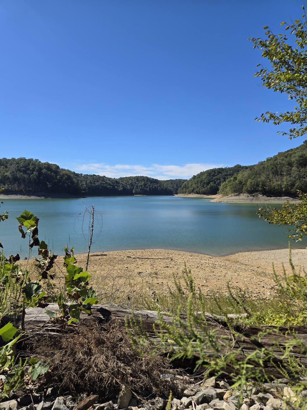 Lake Cumberland cove, calm water and wooded hills