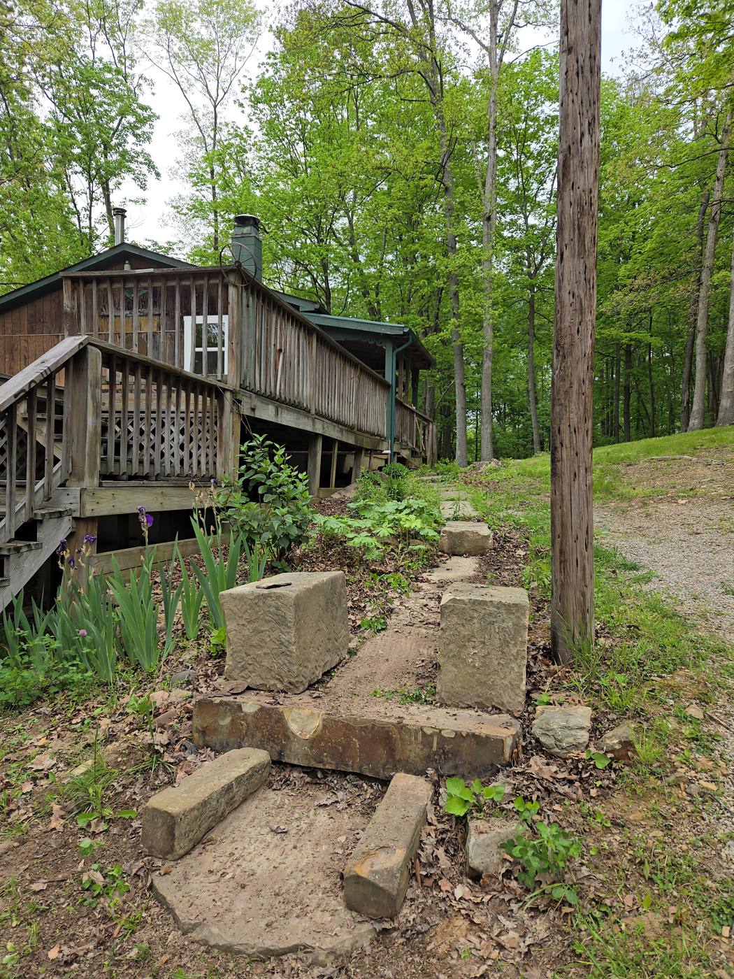 Wooded cabin deck with stone path